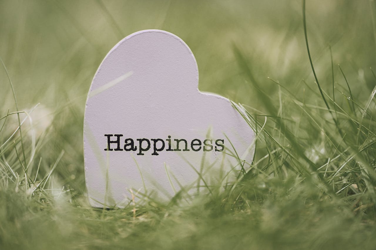 The Art of Drawing Readers In: Your attractive post title goes here A heart-shaped sign with 'Happiness' text nestled among green grass, symbolizing joy and encouragement.